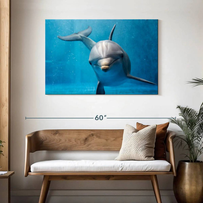 Brampt Friendly Dolphin, 30" H x 45" W