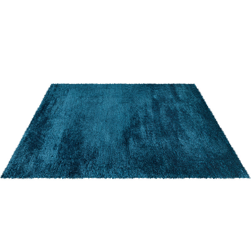 Charlesia Shag Indoor / Outdoor Area Rug, Rectangle 160 x 230 cm