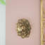 Plaque murale succulente