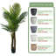 Palmier artificiel de type C et pots ronds en résine avec plateau-115293377-116920981