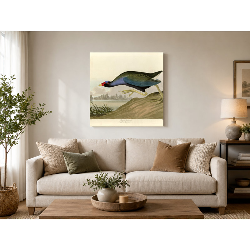 Gallinule mauve (plaque CCV) - art mural carré sur toile, L 16 po x H 16 po