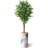 75'' Faux Ficus Tree in Planter-97992041