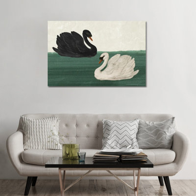 Black Swan White Swan