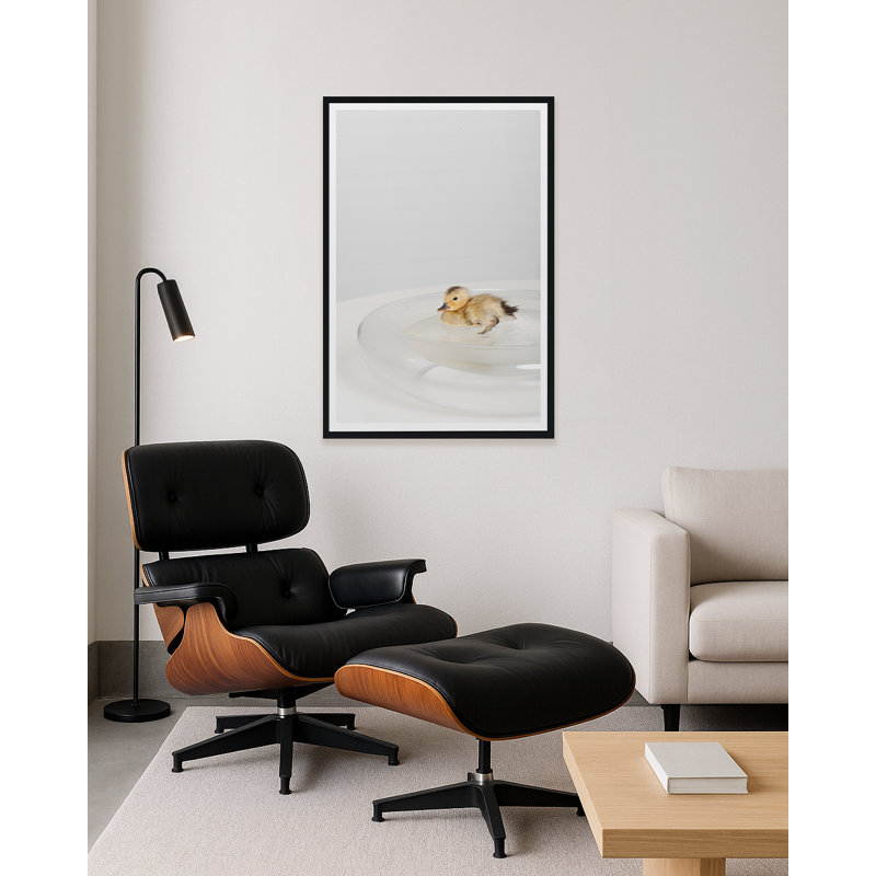 Étang de canard, Noir, Lustre photo encadré, 40" H x 27" W x 1.5" D