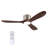 CEILING FANS LIGHT