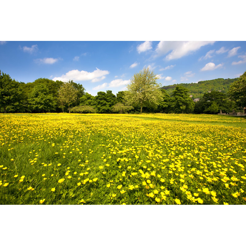Summer Meadow by Duncan1890 - Wrapped Canvas Print, 20cm H x 30cm W