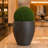 3Rd Street Inn Cypress Topiary Ball-1564844970-1564844971