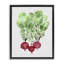 Cadre flottant aquarelle radis de jardin, design par Camila Juncos-526196275-526196274