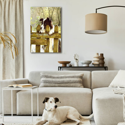 "Border collie qui regarde les vaches" par John Silver