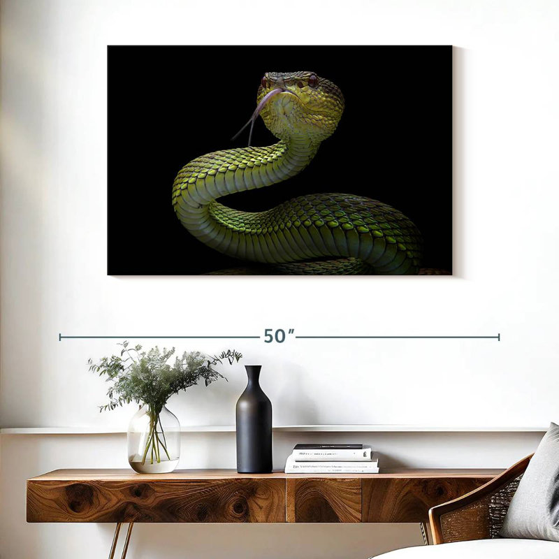 Brampt Venomous Viper