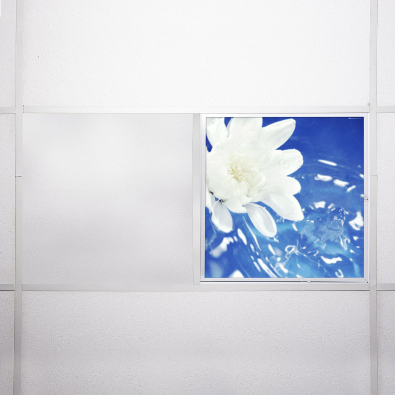 Flower Square Fixture Component Ceiling Light