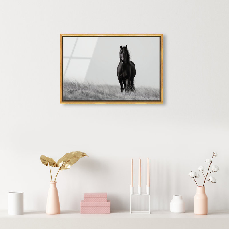 Lone Stallion I Print, 17" H x 25" W, Gold Floater Frame
