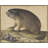 "A Marmot with a Branch of Plums" by  Jacopo Ligozzi - Gallery Wrap Canvas Wall Art-473650436