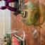 Photos des clients 3 de 4