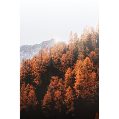 Hill Trees - Wrapped Canvas Print