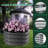 3-Pack Round Raised Garden Bed 2x2x1 ft Open Bottom Rust-Resistant Planter Box Easy Setup Galvanized Steel Outdoor-217373665