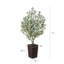 Adcock Artificial Olive Tree for Indoor & Outdoor Home Decor, Faux Olive Tree with Decorative Pot-1771617332-1771617289