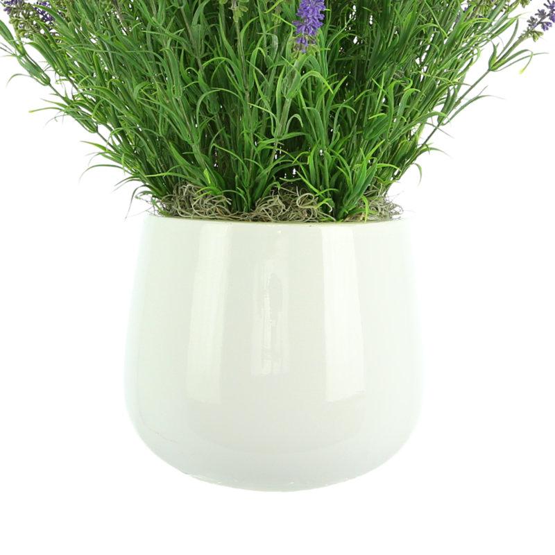 Outdoor UV-Rated Lavender in Fiberstone Pot