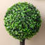 60cm Faux Boxwood Topiary in Pot