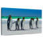 Penguin Buddies-108877792