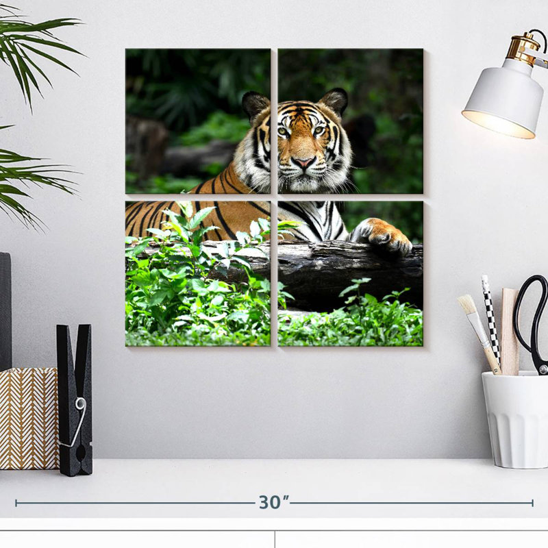 Tigre du Bengale au repos, H 18 po x l 18 po