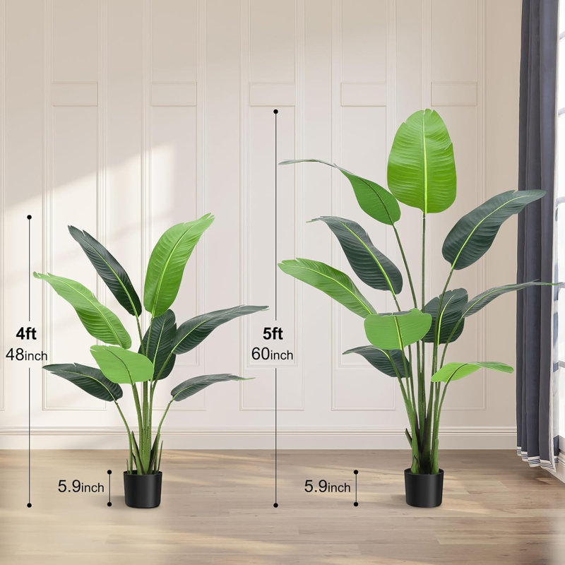 Plant, 216.1 cm x 198.12 cm