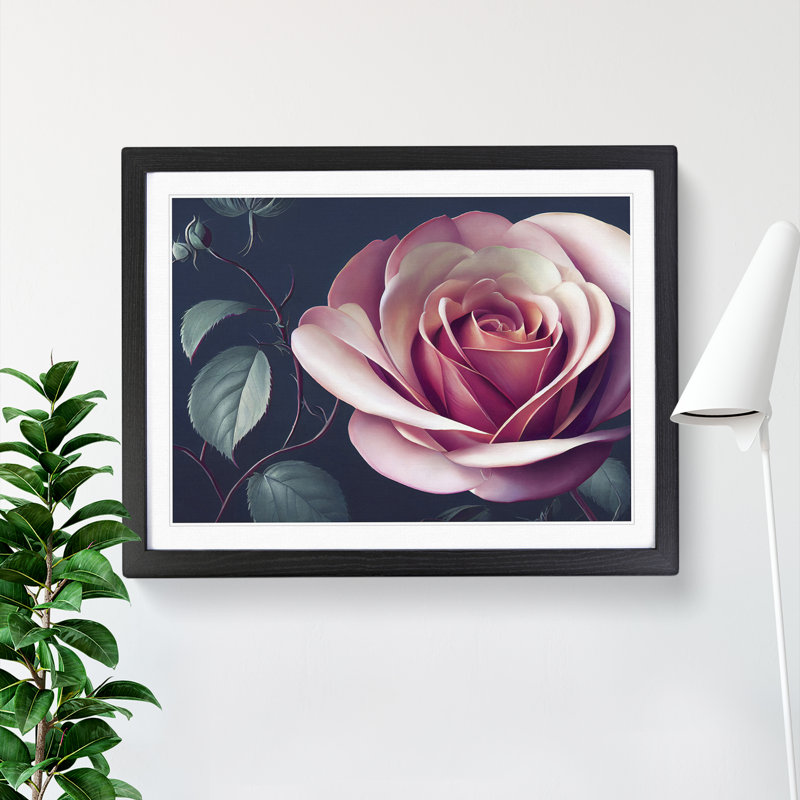 Pleasant Rose Flower - Single Picture Frame Print, Black Framed, 46cm H x 64cm W x 2cm D