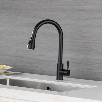 Robinet de cuisine Rainlex