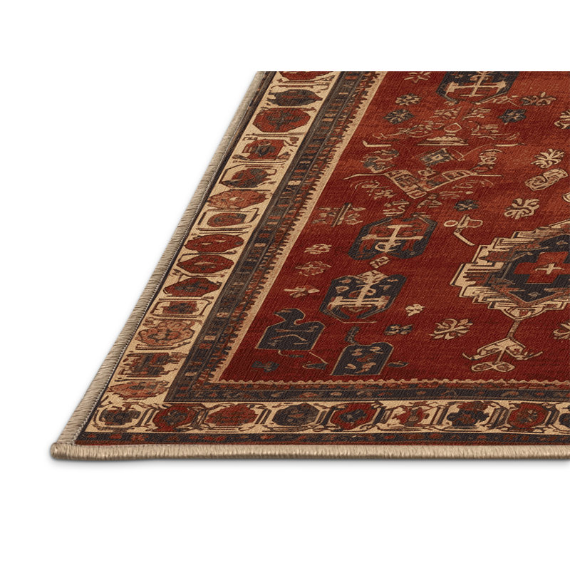 Machine Washable Turkish Brown Area Rug, Rectangle 2' x 3'