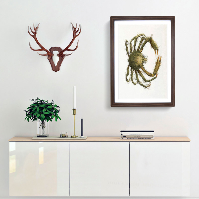 Spider Crab by J.E. De Kay - Picture Frame Painting Print, Walnut Framed, 48cm H x 36cm W x 2cm D