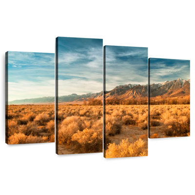 Alvord Sierra Nevada Desert Shrubs