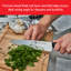 Couteau de chef Zwilling