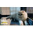 Cat House Outdoor Catio Cat Enclosures on Wheels 70.9" Kitty House with Upgraded Resting Box,Waterproof Roof-1033193644