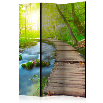 Carlson 172cm H Folding Room Divider