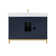 Gracie 48'' Single Bathroom Vanity with Top