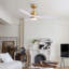 Ventilateur de plafond 52 po avec lumière DEL et télécommande