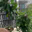 Photos des clients 1 de 1