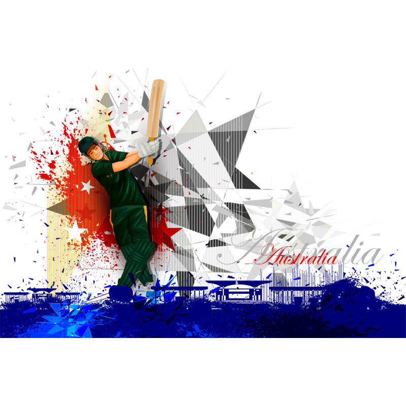 Cricket Player by Snapgalleria - Wrapped Canvas Print, 30cm H x 46cm W