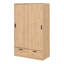 Lashuna 2 Door Manufactured Wood Wardrobe-869994464