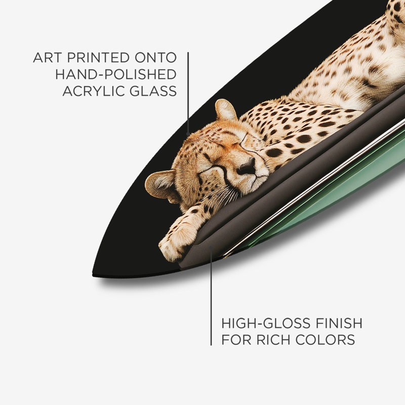 Oliver Gal Sleepy Cadi Cheetah Surfboard - Die-Cut Acrylic Glass Wall Art Sculpture