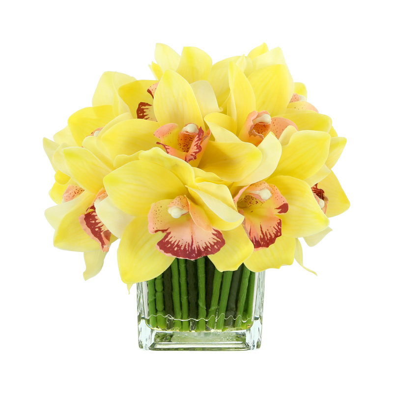 Orchidée Lehn dans un vase en verre, Jaune