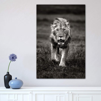 Lion Patrolling by Xavier Ortega - Wrapped Canvas Print
