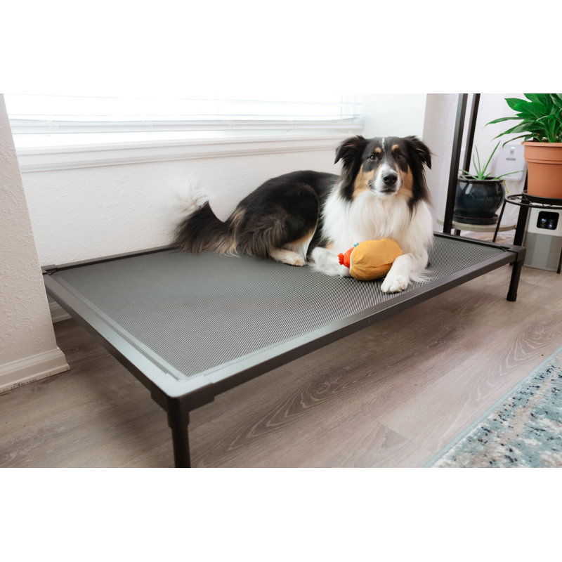 Cooling Elevated Dog Bed, 7" H x 32.75" W x 49.25" D
