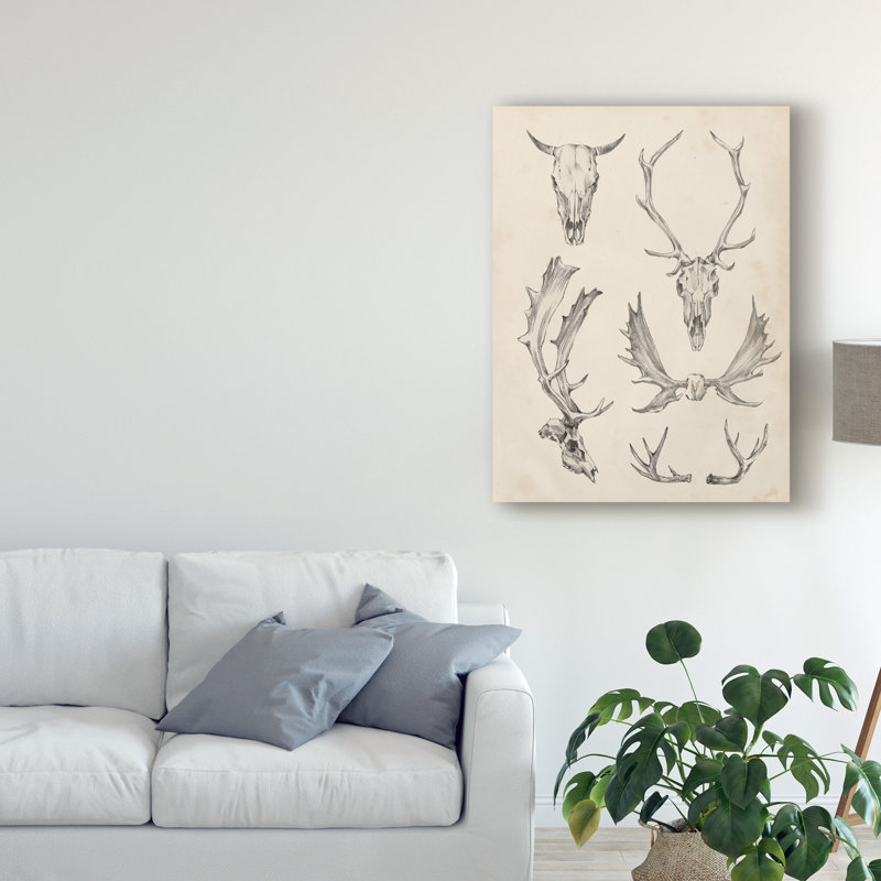 «Skull and Antler Study II» par Ethan Harper - reproduction d'art sur toile, H 19 po x l 14 po x P 2 po