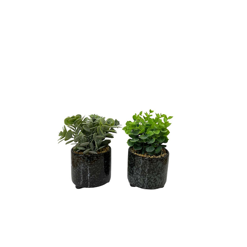 Fernly Ceramic Pot Planter