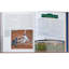 Graphic Image Ballparks Past And Present Coffee Table Book, Leather, Tan