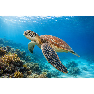 Sea Turtle Reef Wrapped Canvas Wall Art, Tropical Ocean Escape Decor