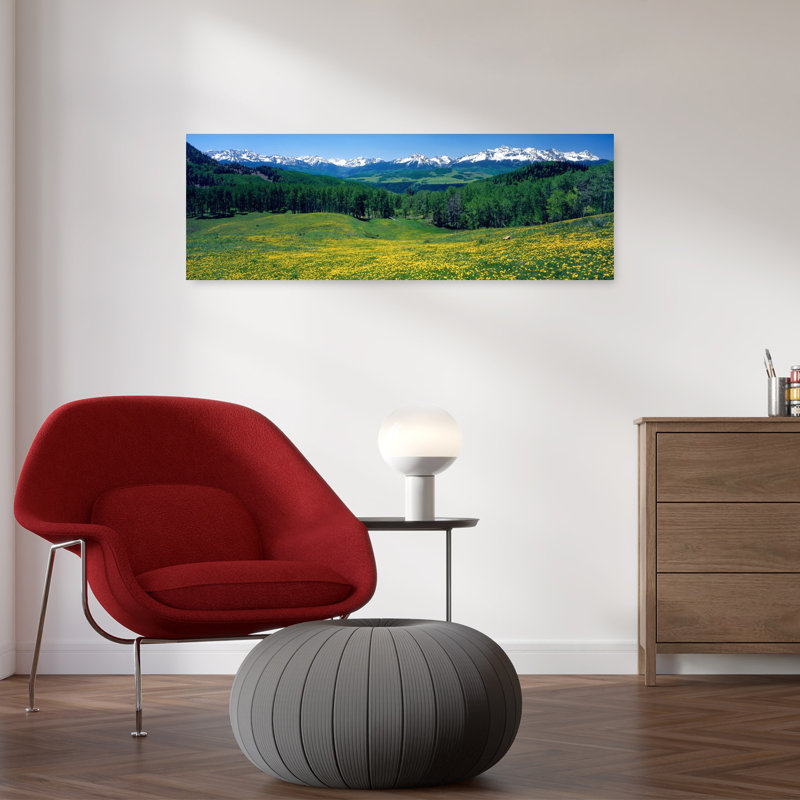 «San San Mountains», art floral abstrait contemporain, forêt, Colorado, H 12 po x l 36 po