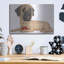 «Mastiff Red Ball» par Danny Gordon-291262798