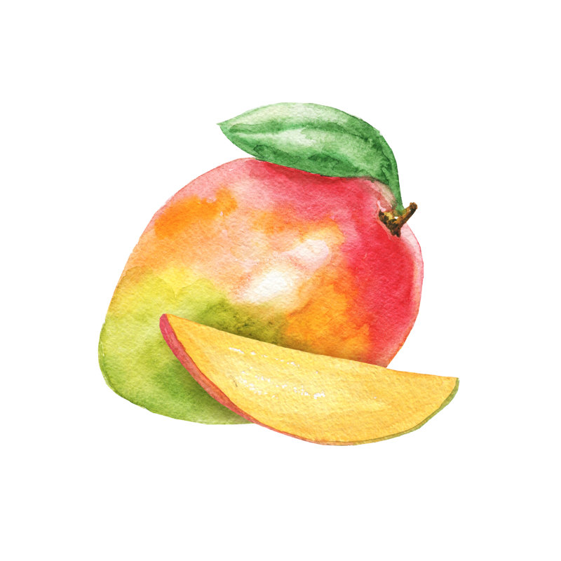 Hand Drawn Watercolor Mango by Vector_Ann, 36" H x 36" W